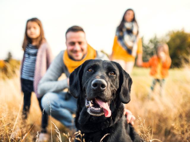 Société à mission Groupe Zolux  Saint Bernard Raison d'Être