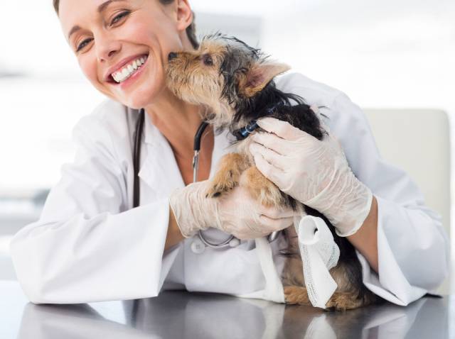 Société à mission Groupe Zolux  objectifs Saint Bernard