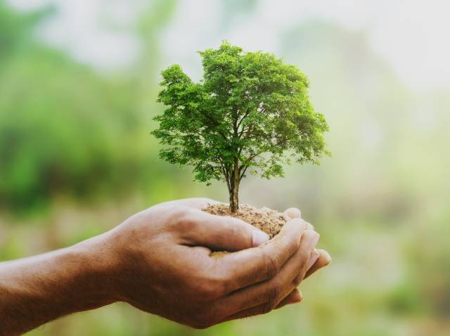 Société à mission Groupe Zolux  objectifs Saint Bernard
