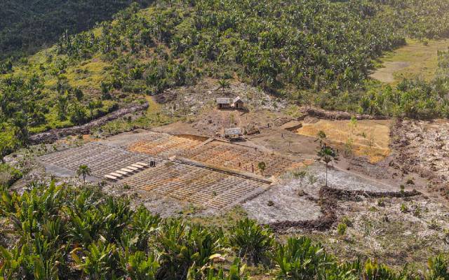 reforestation Madagascar hopi