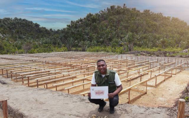 reforestation Madagascar hopi