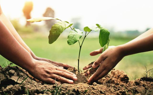 pépinière caritative youcare hopi