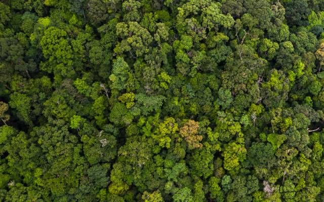 pépinière caritative youcare hopi