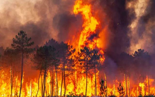 pépinière caritative youcare hopi