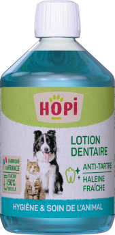 LOTION DENTAIRE