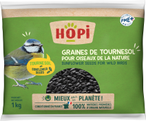 GRAINES DE TOURNESOL