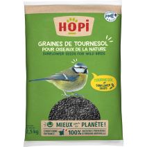 GRAINES DE TOURNESOL