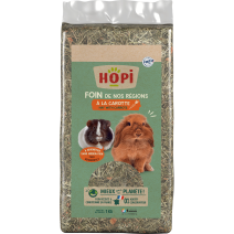 FOIN DE NOS RÉGIONS CAROTTE