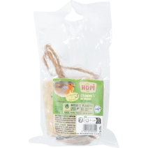 CYLINDRE ARACHIDE & VERS