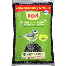 GRAINES DE TOURNESOL