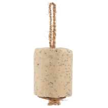 CYLINDRE ARACHIDE & VERS