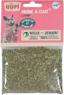 HERBE À CHAT CATAIRE SÉCHÉE