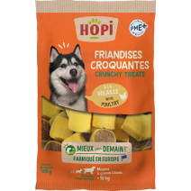 FRIANDISE CROQUANTE A LA VOLAILLE