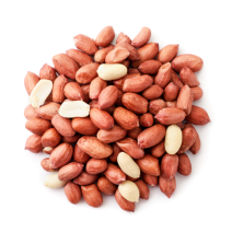 ARACHIDES DECORTIQUEES 800G