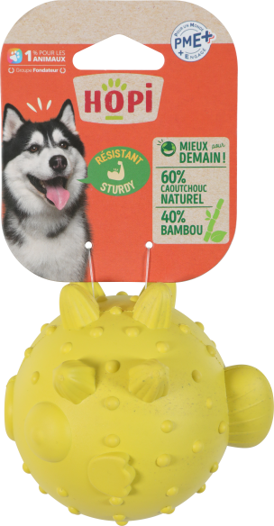 Jouet caoutchou et bambou - POISSON