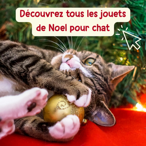 Jouets de Noël pour Chat Hopi